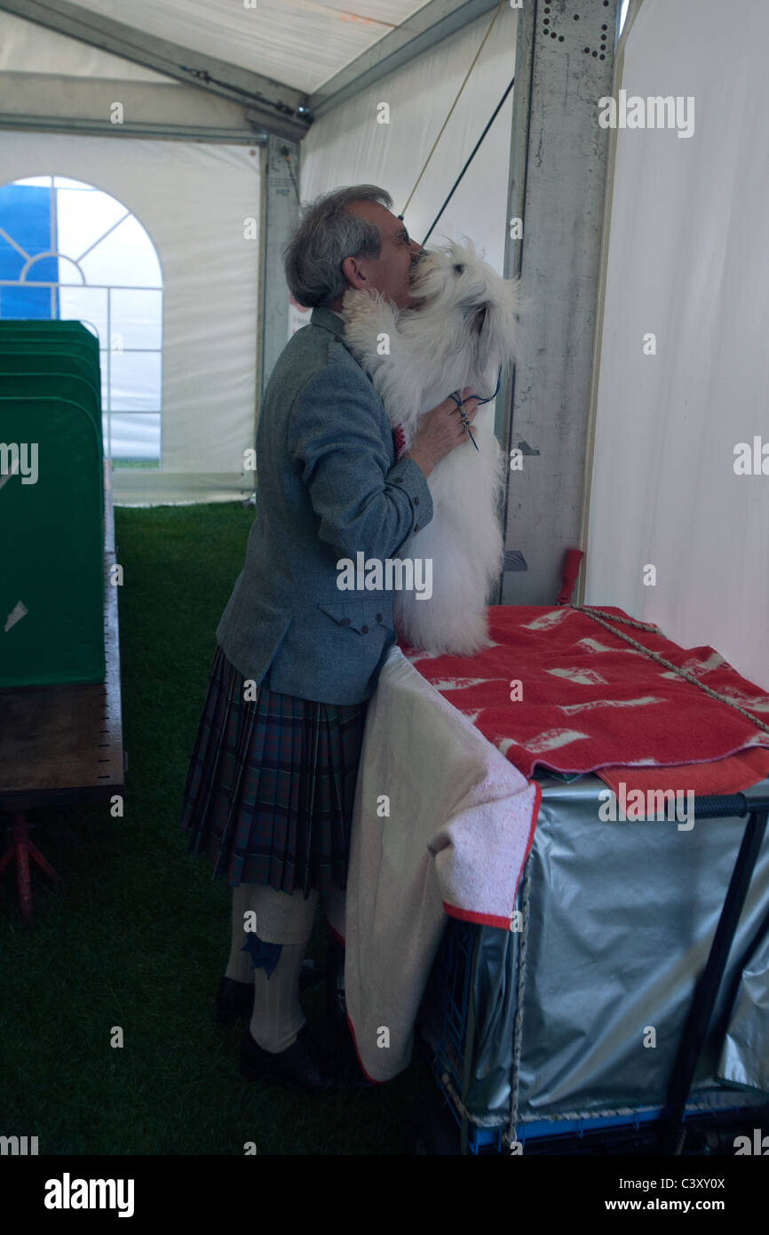 scottish kennel club show in edinburgh scotland Stock Photo Alamy