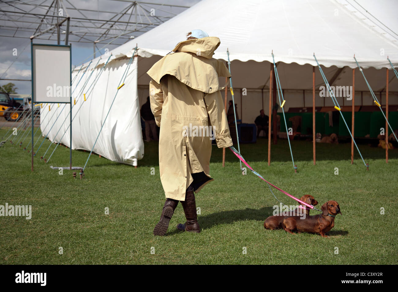 scottish kennel club show in edinburgh scotland Stock Photo Alamy