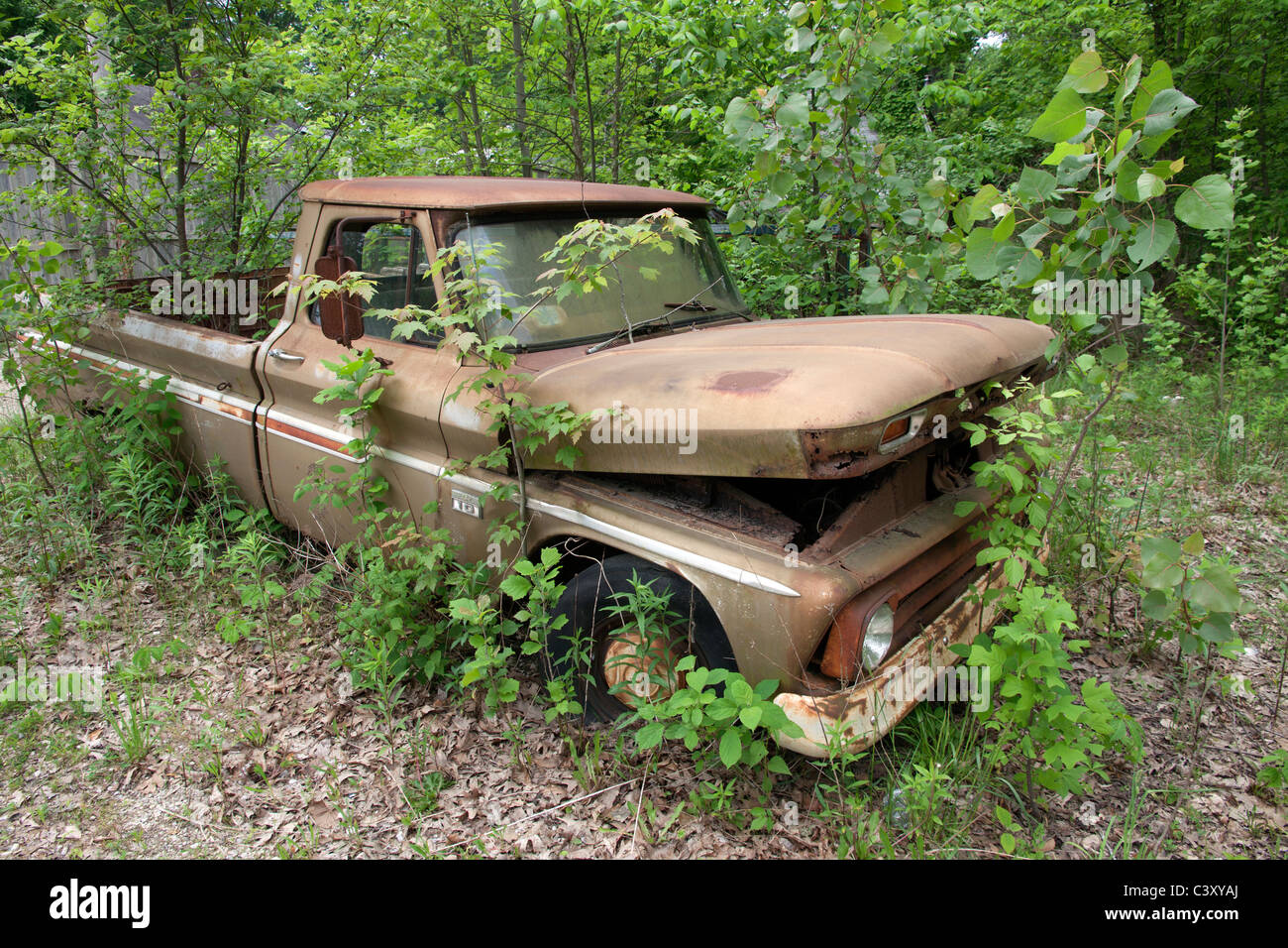 Abandoned and rusted truck USA Stock Photo
