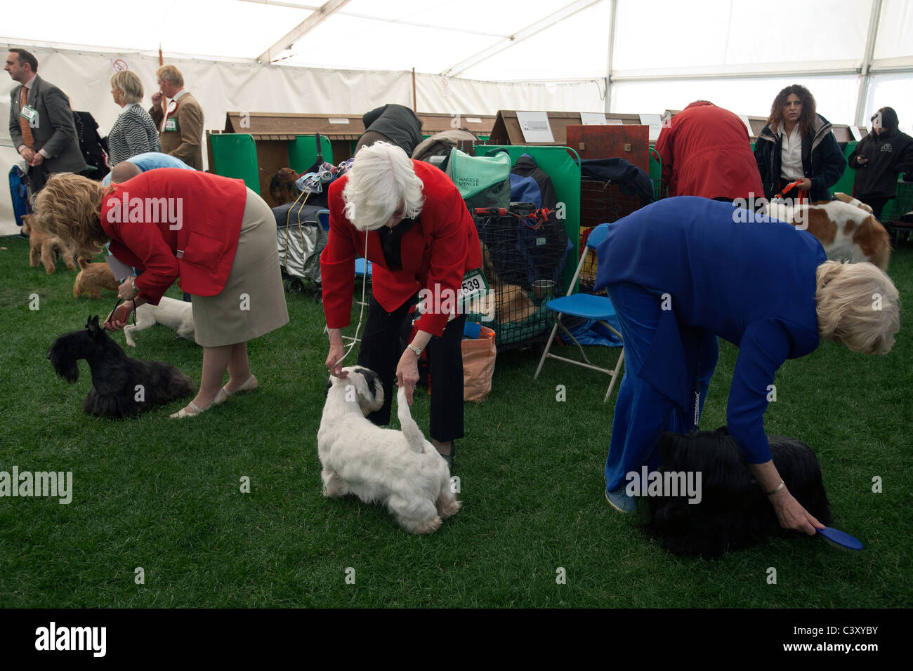 dog owners at the scottish kennel club show Stock Photo Alamy