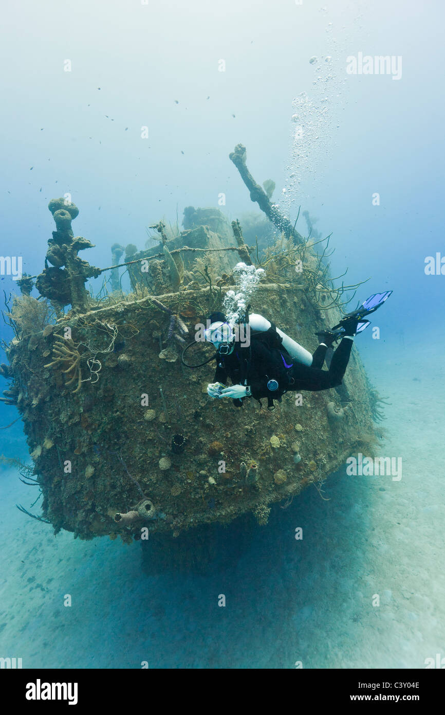 Scuba Diver inspecting the Prince Albert wreck in Roatan, Honduras. Stock Photo