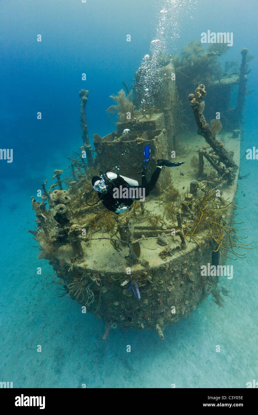 Scuba Diver inspecting the Prince Albert wreck in Roatan, Honduras. Stock Photo