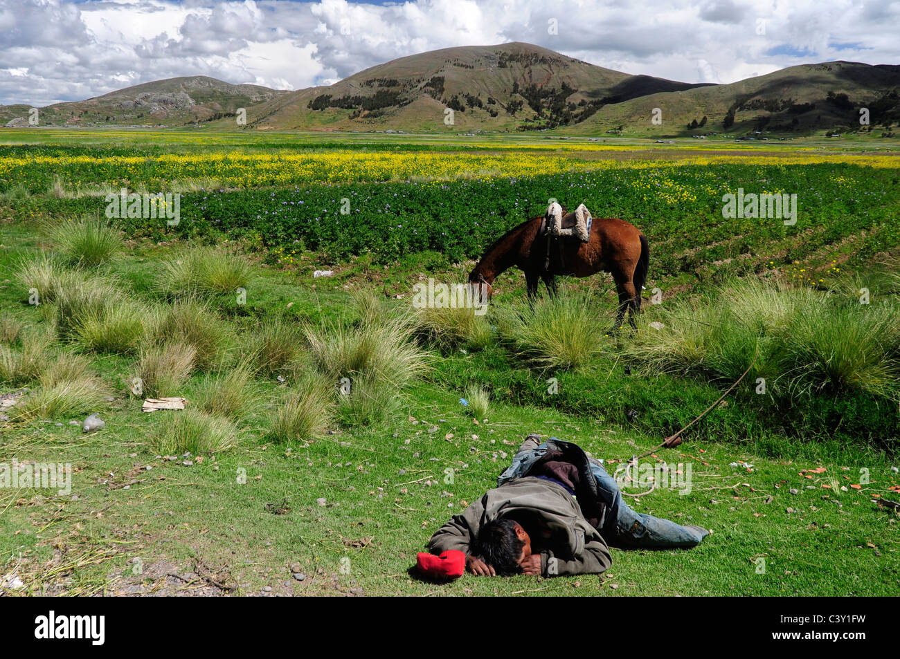 A man sleeping on the Altiplano in Peru Stock Photo