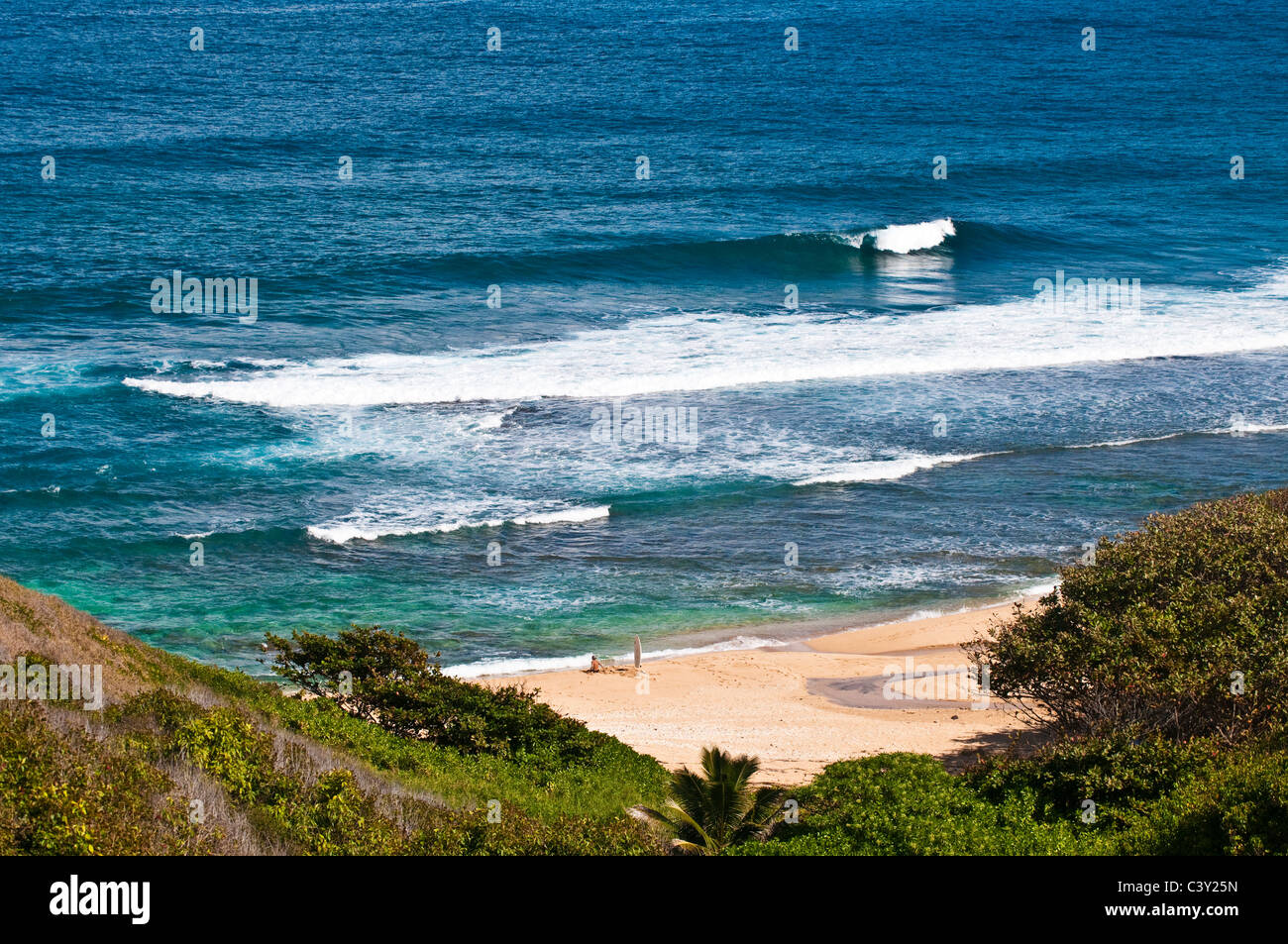 Hawaiian beach hi-res stock photography and images - Alamy