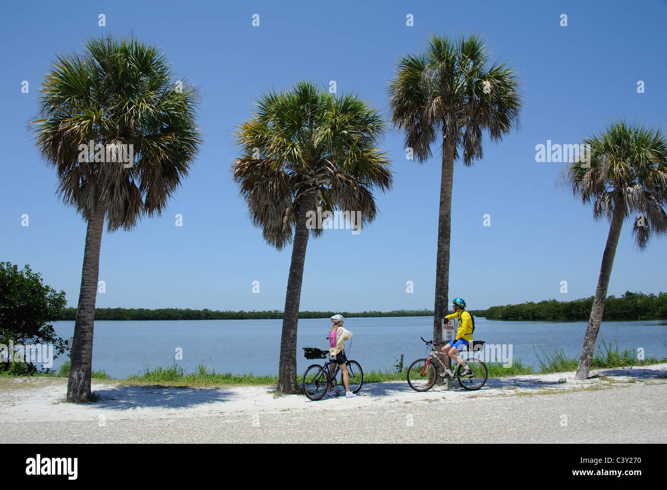 Cyclists in the JN 'Ding' Darling National Wildlife Refuge on Sanibel Island Florida USA Stock Photo