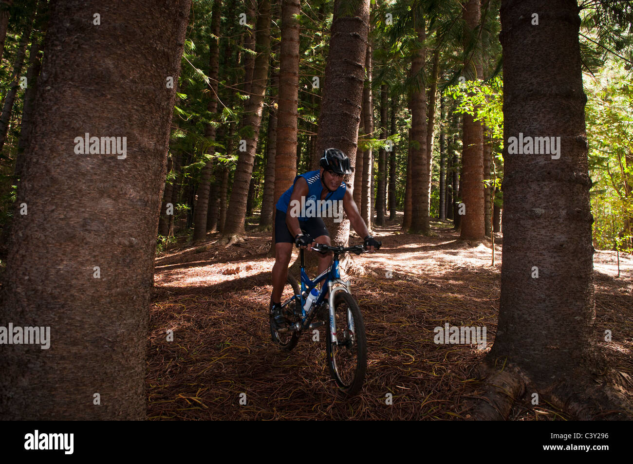 Sleeping giant kauai hawaii hires stock photography and images Alamy