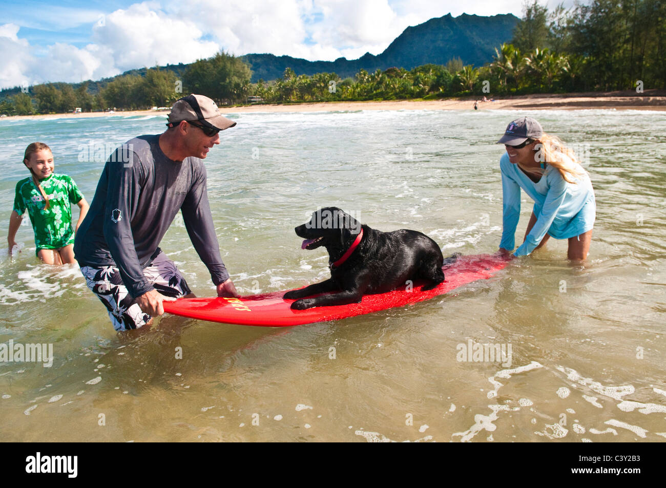 Family with Black labrador surfing at Hanalei Bay, Kauai, Hawaii Stock