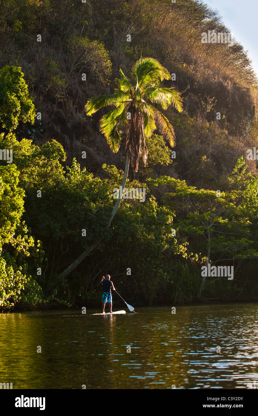 Standup Paddle Boarding, Wailua River, Kauai, Hawaii Stock Photo Alamy