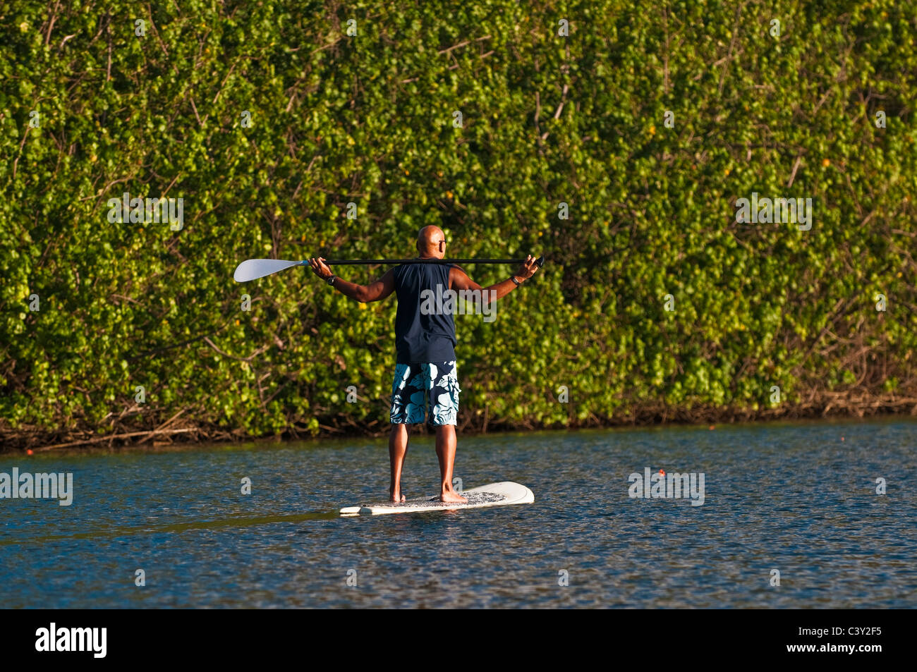 Standup Paddle Boarding, Wailua River, Kauai, Hawaii Stock Photo Alamy