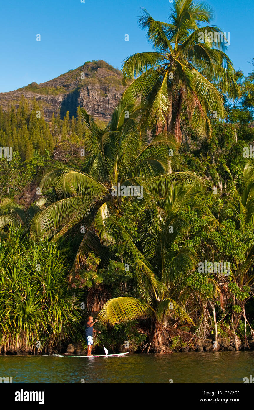 Standup Paddle Boarding, Wailua River, Kauai, Hawaii Stock Photo Alamy