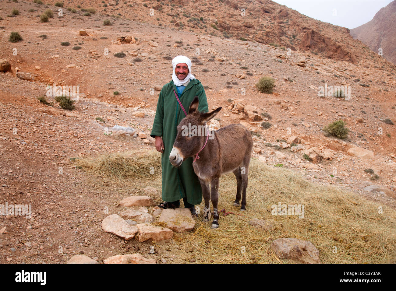 Portrait Bedouin nomad & Donkey Morocco Stock Photo Alamy
