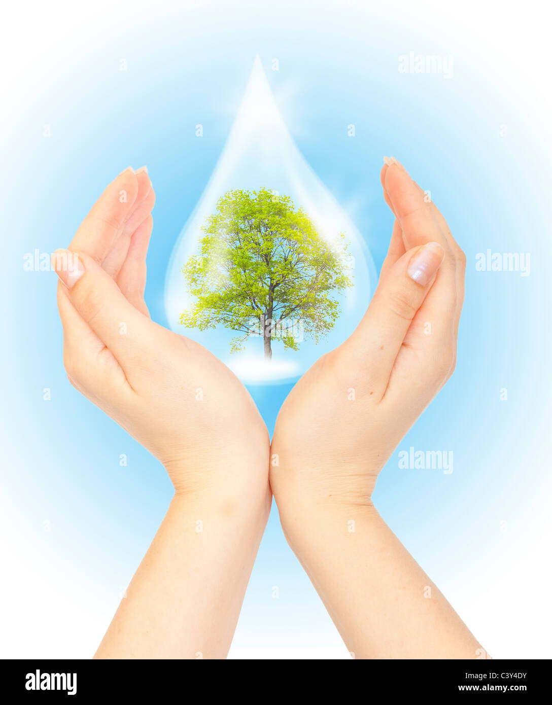 Drop of water with Tree inside and hands. The symbol of Save Green Planet. Stock Photo