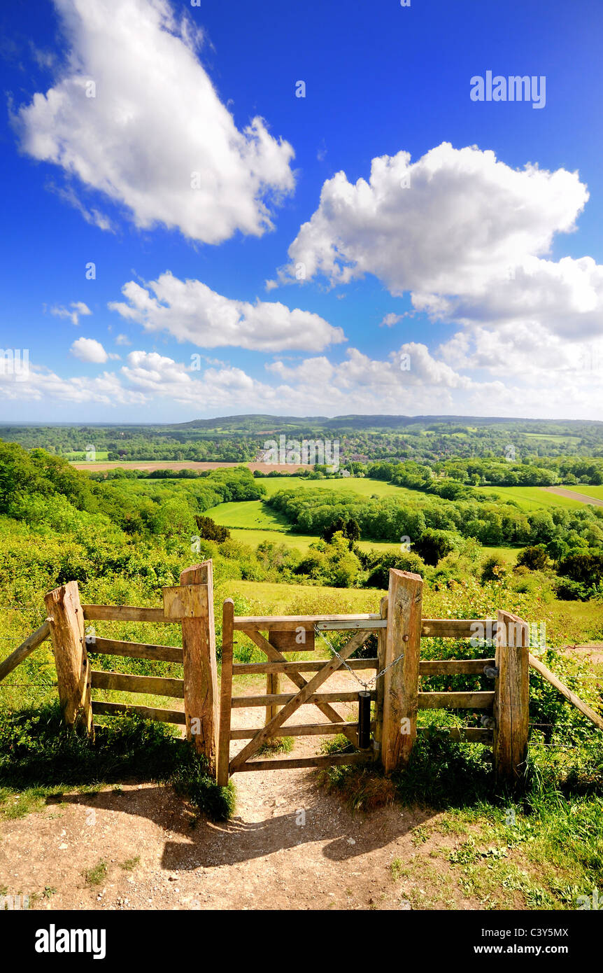 Ranmore Common on a sunny summers day ,Surrey Hills Dorking England UK