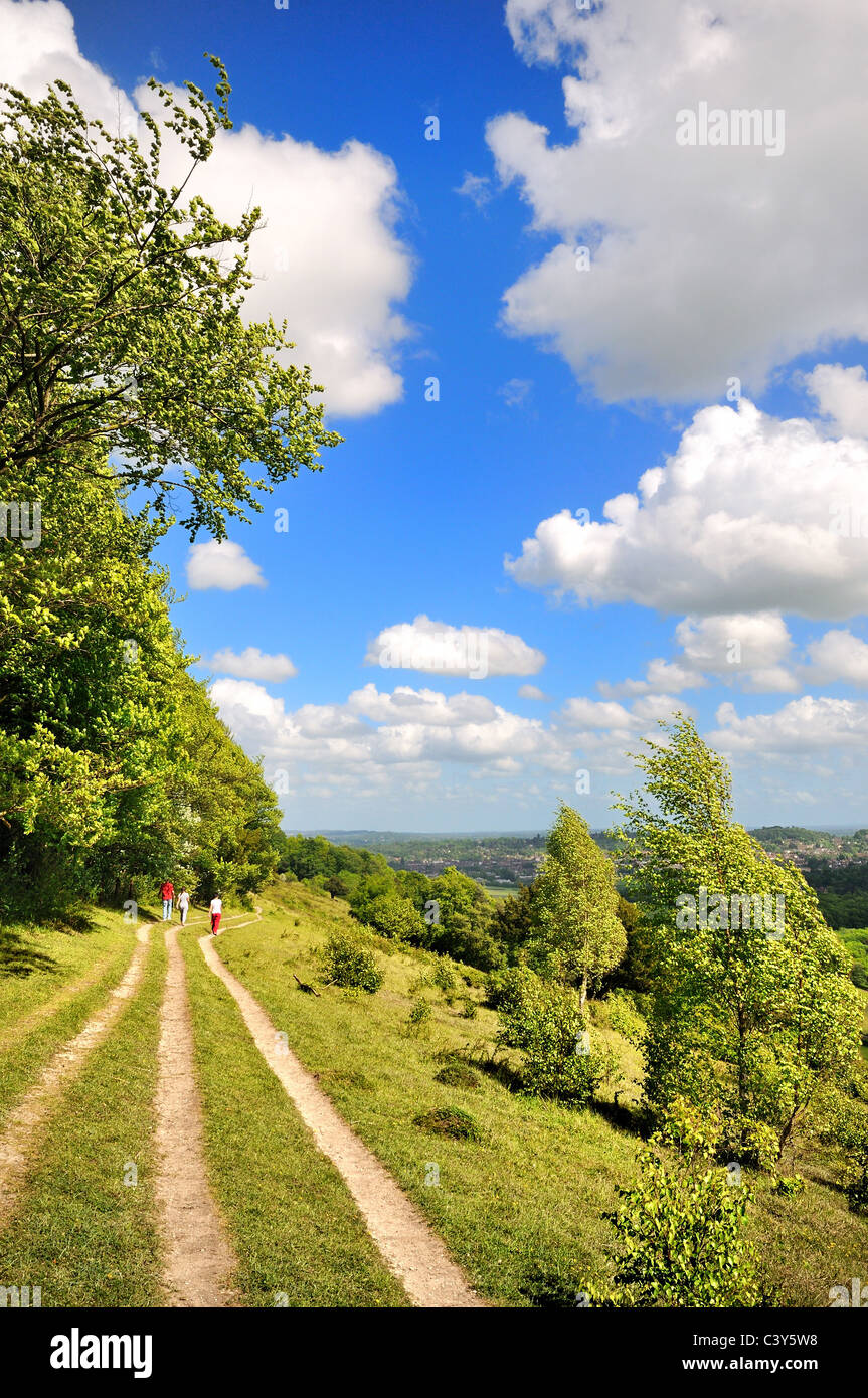 Ranmore Common ,Surrey Hills Dorking Stock Photo