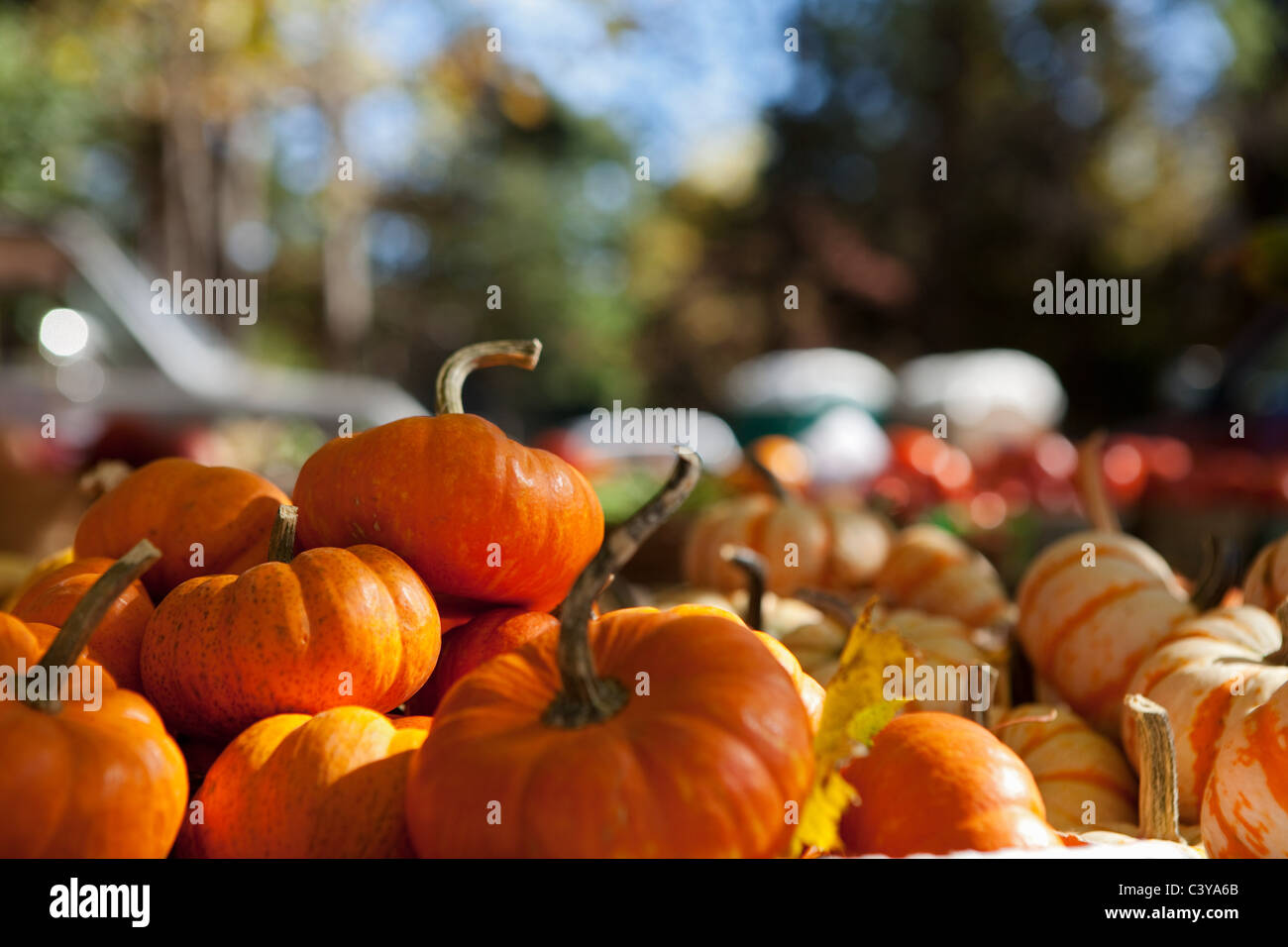 Vegetable stand in t hi-res stock photography and images - Alamy
