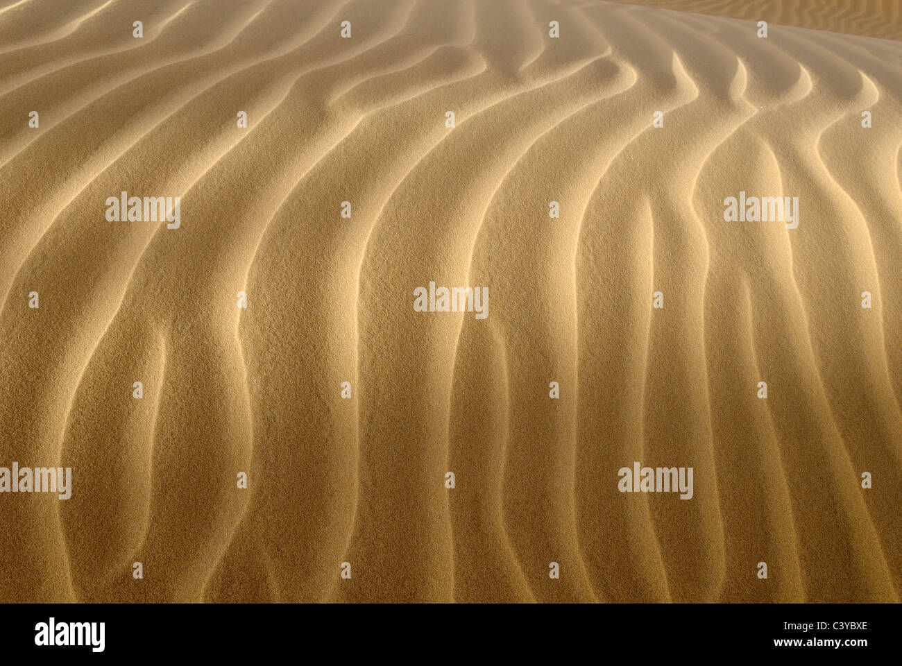 Algeria, Tin Akachaker, Tassili du Hoggar, Wilaya Tamanrasset, Sahara, ground, bottom, detail, dune, dunes, erosion, yellow, des Stock Photo