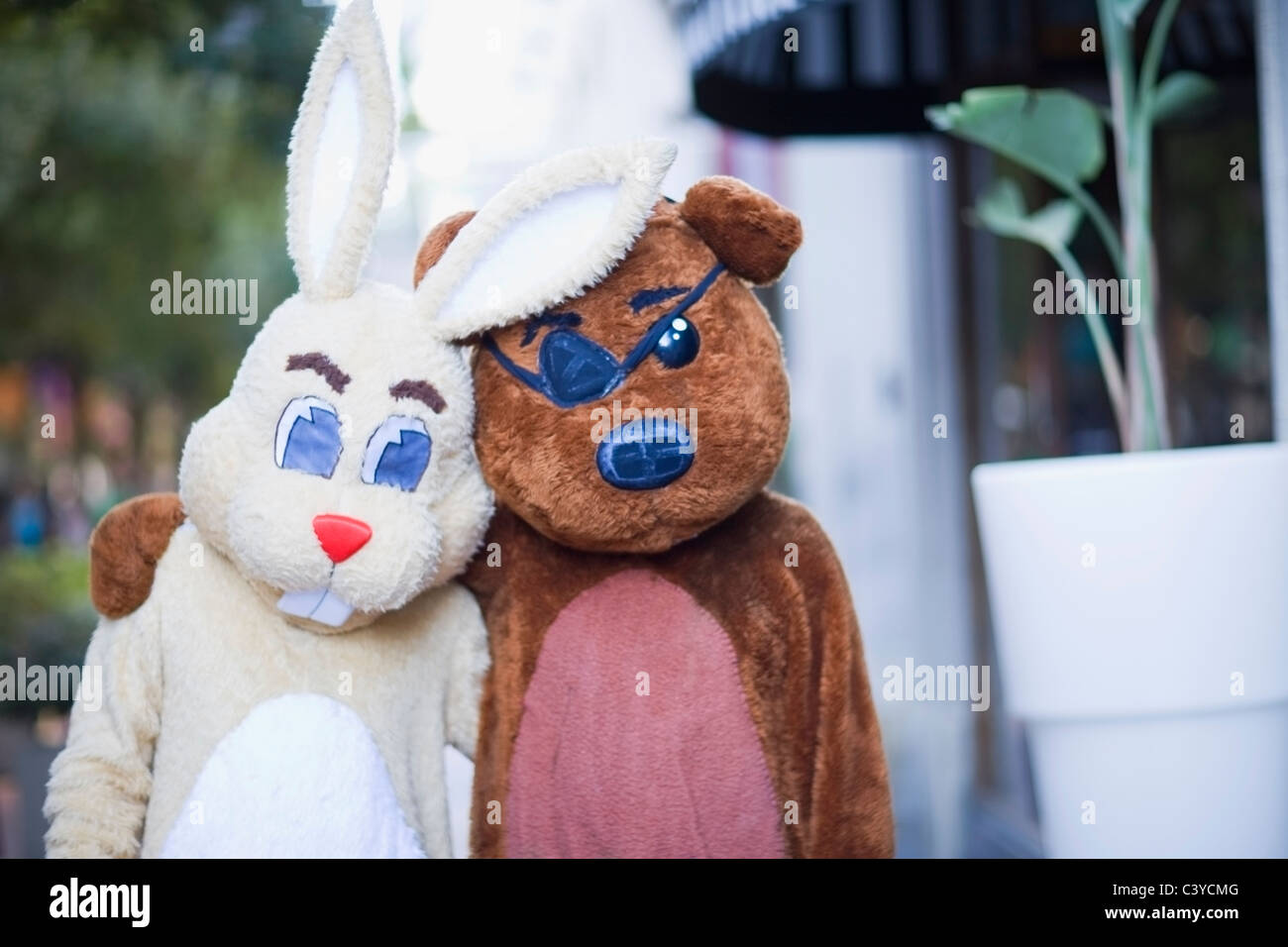 Bear And Rabbit High Resolution Stock Photography and Images Alamy