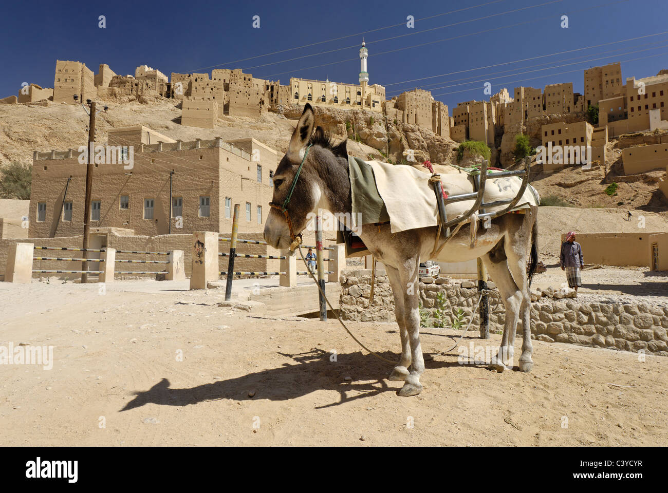 Esel in der Altstadt von Al Hajjaryn, Wadi Doan, Hadramaut, Arabien, Al Hajjaryn, Old Town, Arabia, Arabian, architecture, build Stock Photo
