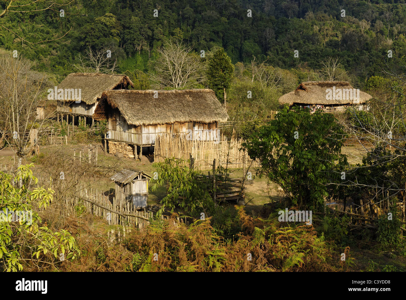 Birma, Rawang people, minority, Kachin State, Burma, Myanmar, Asian, Asia, bamboo, farmhouse, farmhouses, farm, farms, building, Stock Photo
