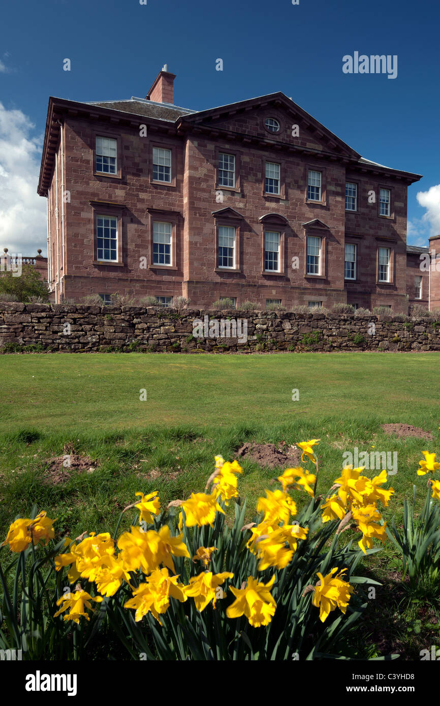 Springtime and daffodils at Paxton House, near Berwick upon Tweed, Scottish Borders Stock Photo