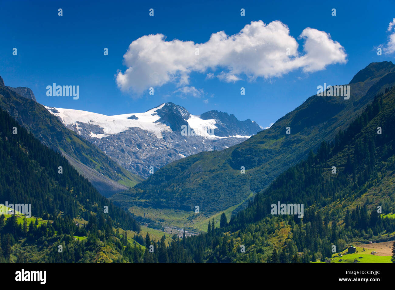 Val Plattas, Switzerland, canton Graubunden, Grisons, Surselva, valley, wood, forest, mountain, Piz Medel, cloud Stock Photo