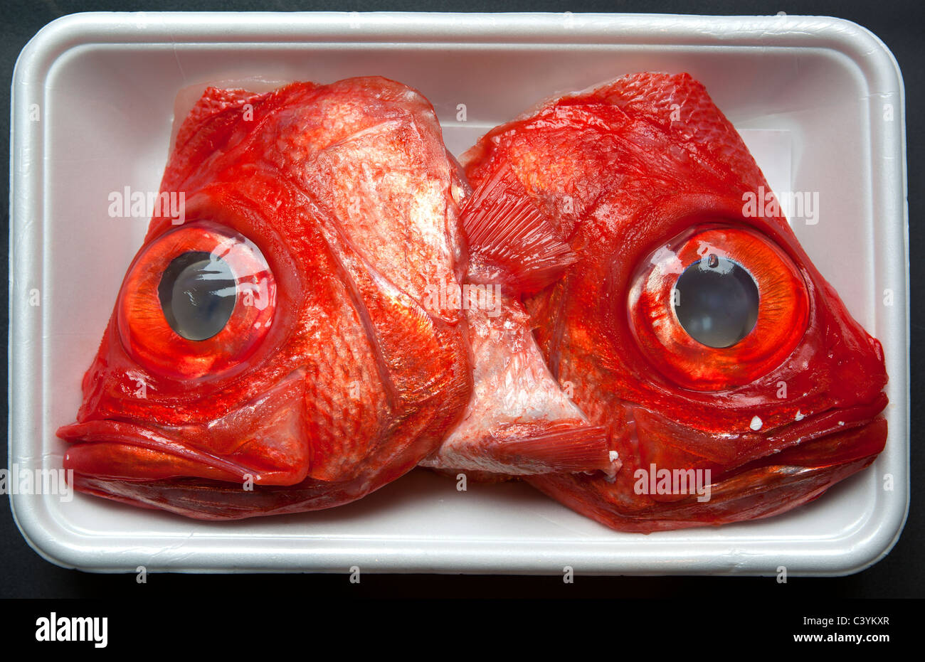 Red Fish Head Stock Photo