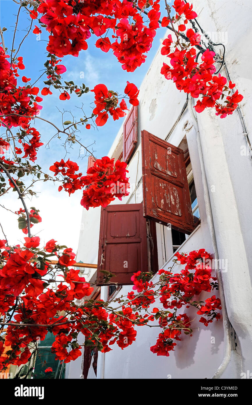 Europe, Greece, Greek Islands, Mykonos, aegean mediterranean, Cyclades Hora, white, painted, stucco, houses, architecture, red, Stock Photo