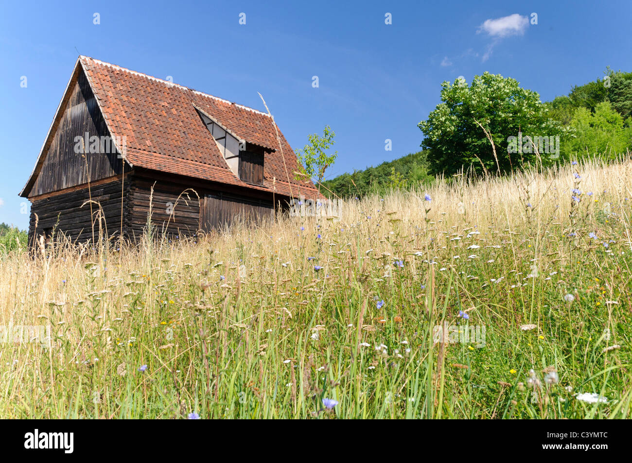 old, architecture, outside, outdoor, farmhouses, buildings, FRG, federal republic, German, Germany, outdoors, outside, European, Stock Photo