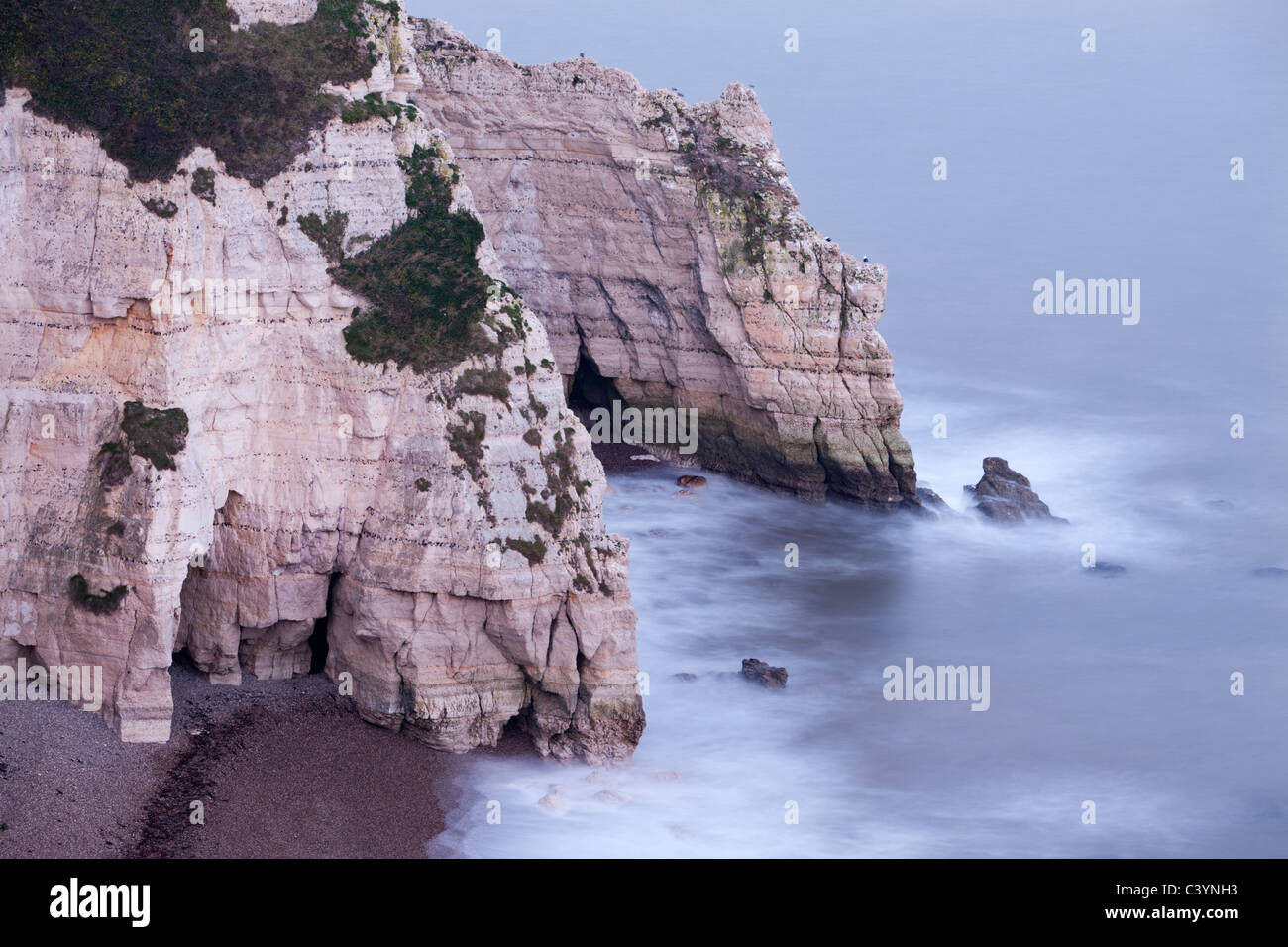 Eroded chalk cliffs near Beer Head on the Jurassic Coast, Devon, England. Winter (January) 2011. Stock Photo