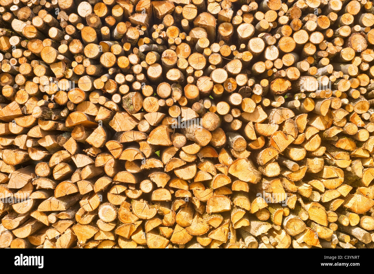 Pile dry logs branches hi-res stock photography and images - Alamy