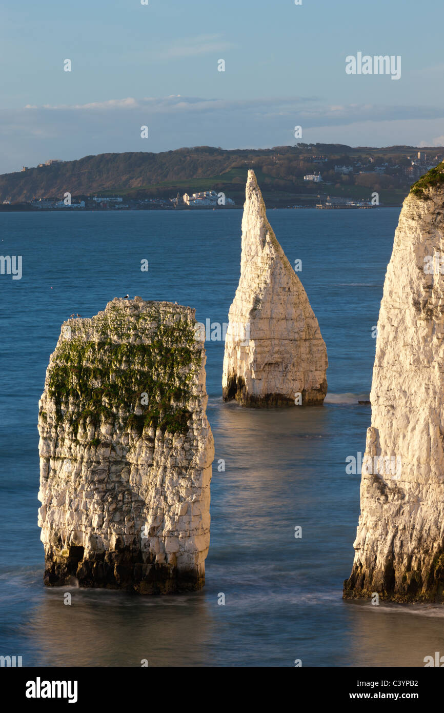 Parson's Barn and The Pinnacles from Handfast Point, Jurrasic Coast, Dorset, England. Winter (February) 2011. Stock Photo