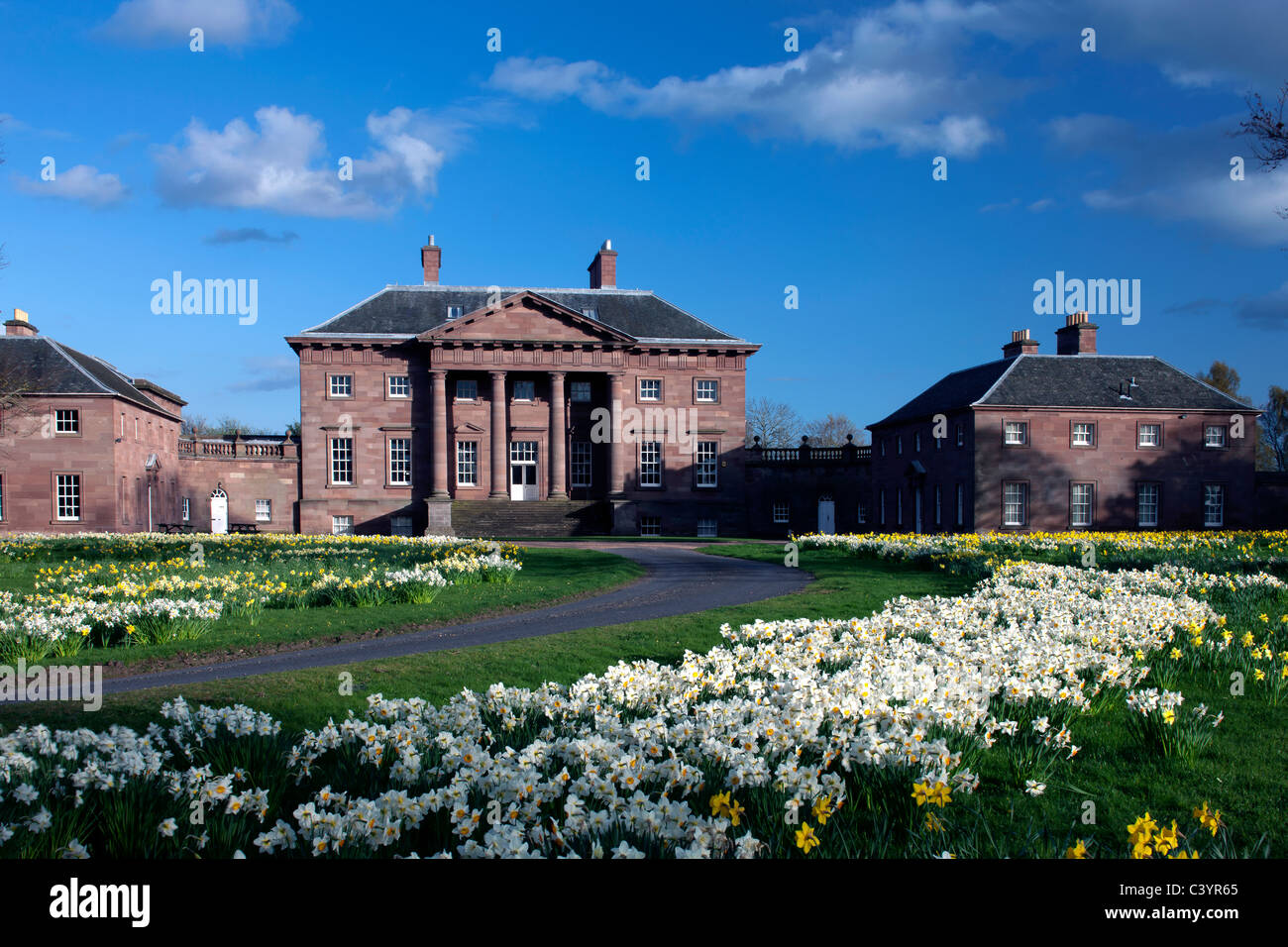 Springtime and daffodils at Paxton House, near Berwick upon Tweed, Scottish Borders Stock Photo