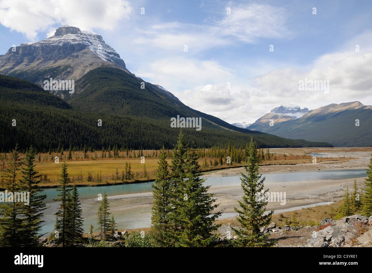 Rocky Mountains, Icefield Parkway, course of a river, fall, fall colours, Athabasca River, Jasper National Park, Alberta, Canada Stock Photo