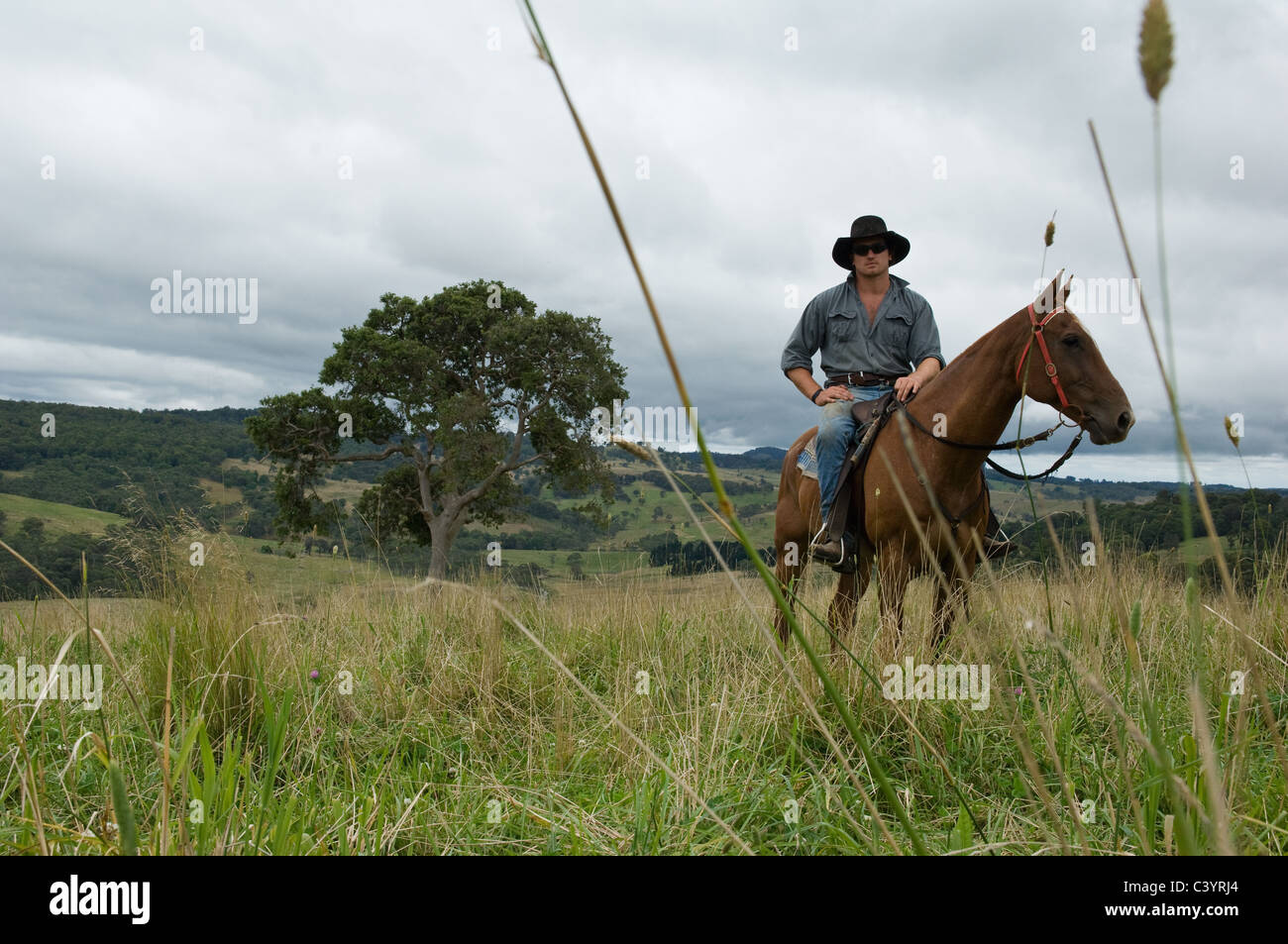 Man on horse in countryside Stock Photo - Alamy