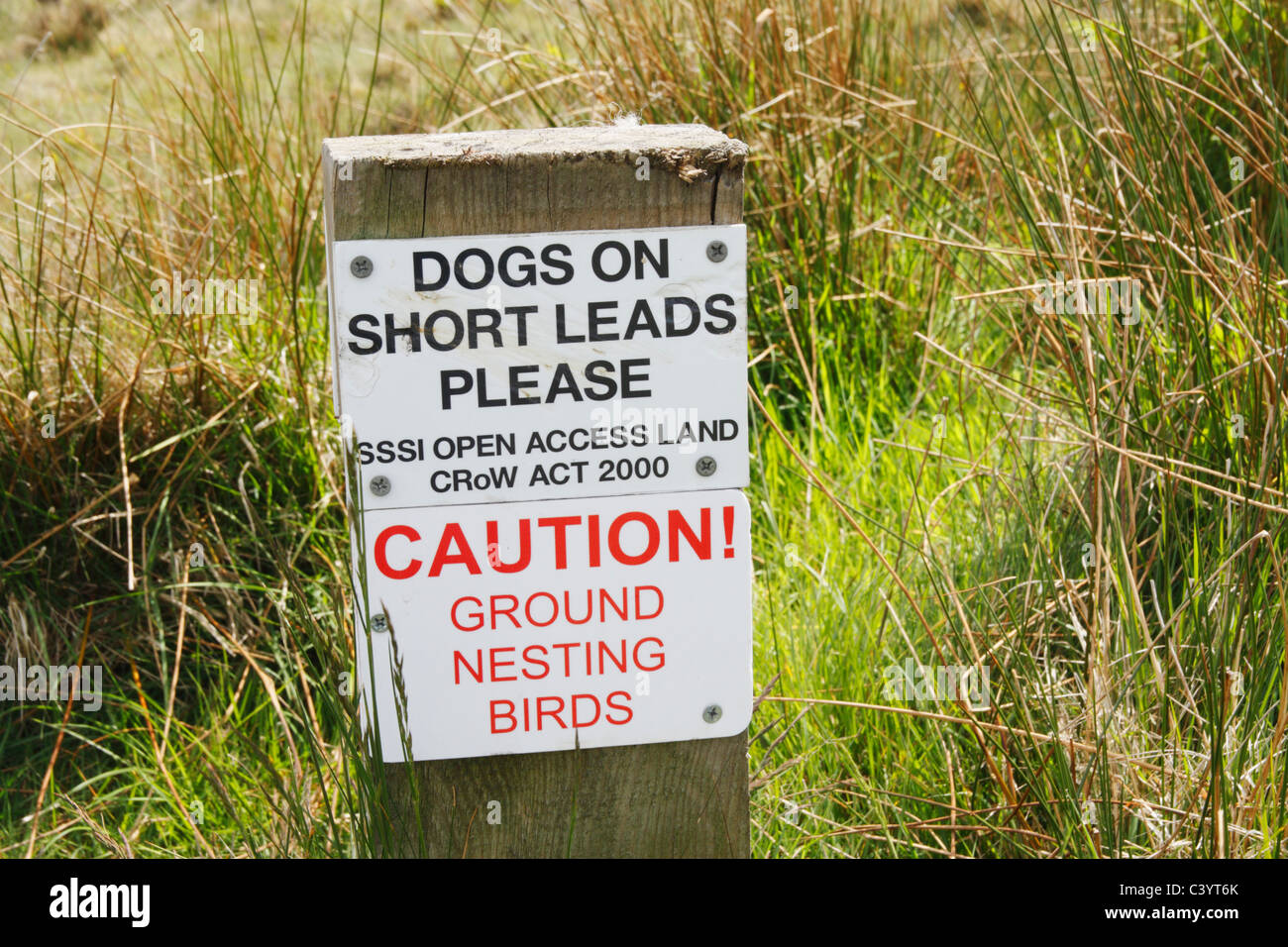 Sign on North Yorkshire moors advising dog owners to keep dog on short leads to protect ground nesting birds Stock Photo