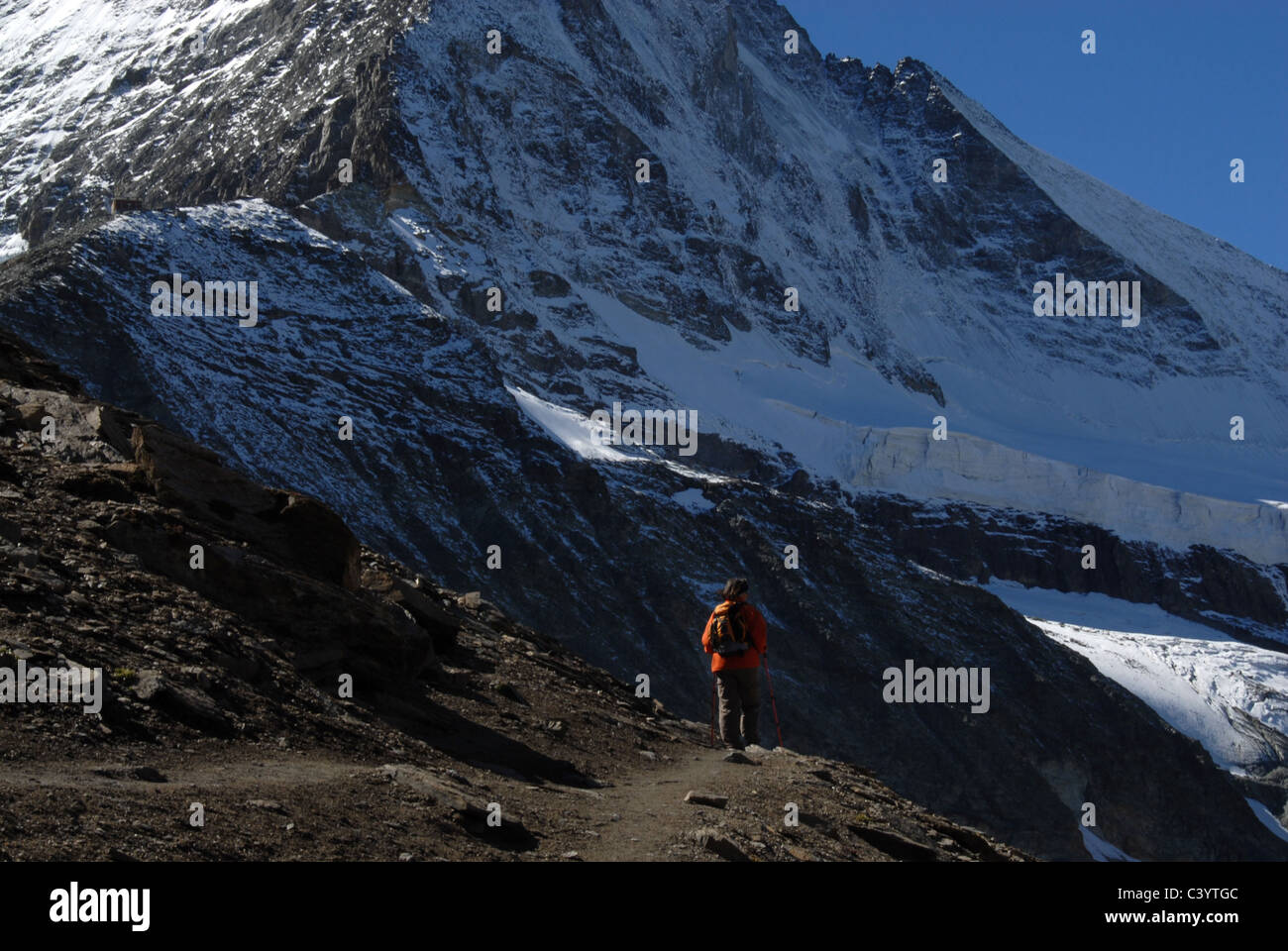 Matterhorn, Zermatt, Valais, mountain, hiker, walking, hiking, Hornli, hut way, Alps, Swiss, Switzerland, blue, sky, north face, Stock Photo