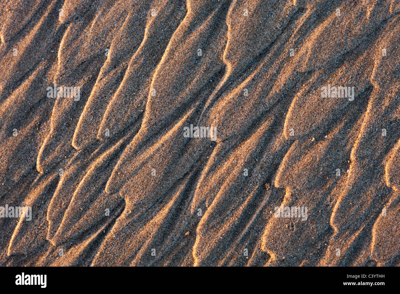 Sand patterns on the beach at Newborough Warren, Anglesey, Wales. Spring (April) 2011. Stock Photo