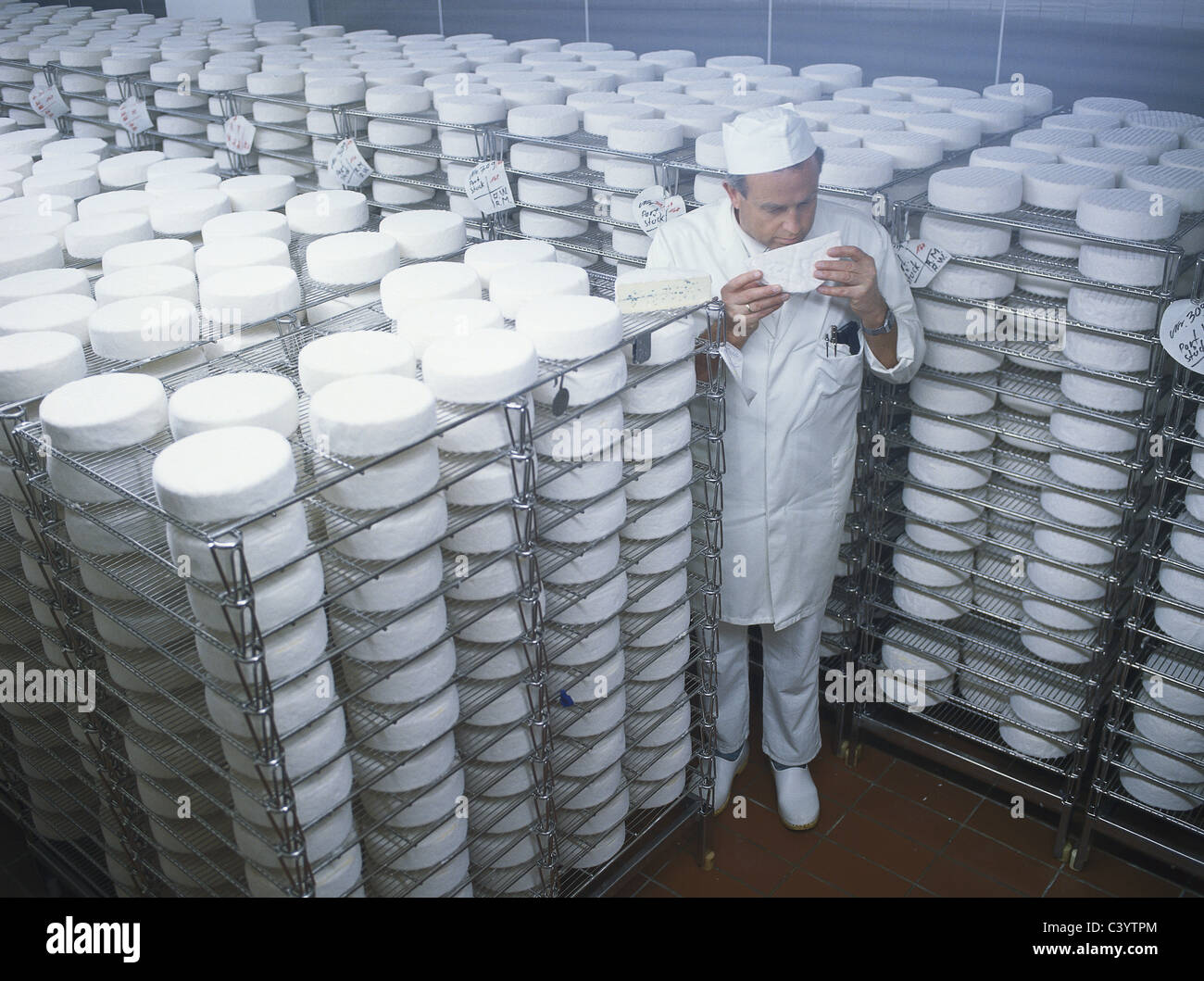 Bavaria, Cheese, Cheesemaker, Control, Dairy, Economy, Europe, European