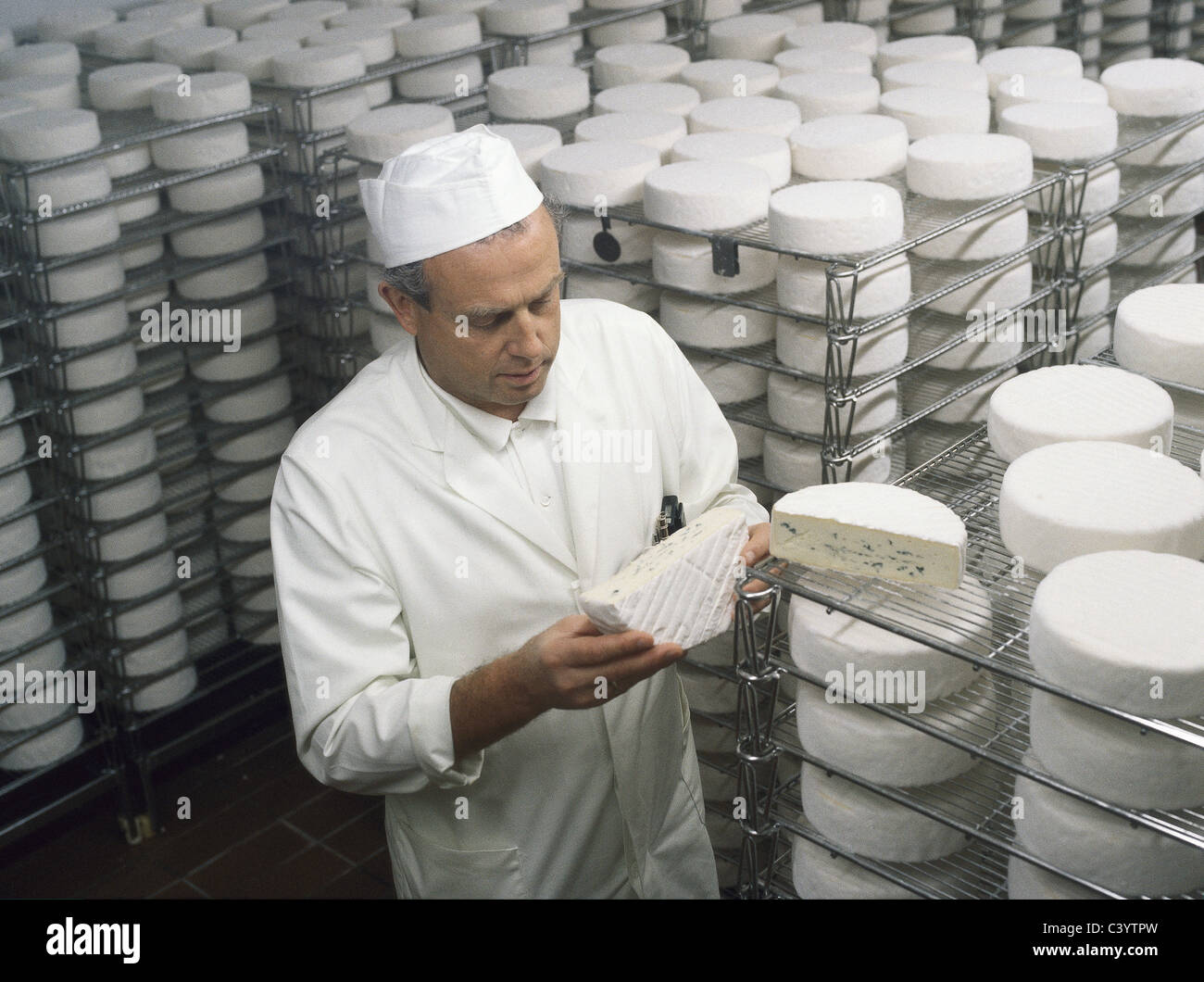 Bavaria, Cheese, Cheesemaker, Control, Dairy, Economy, Europe, European