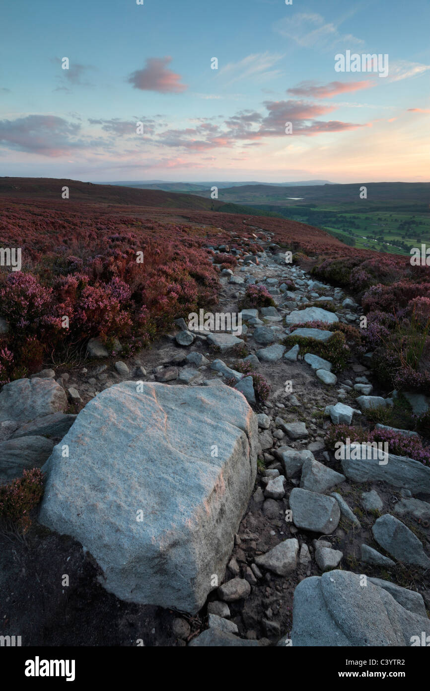 Ancient rock formations and heather on the lonely landscape of Barden ...