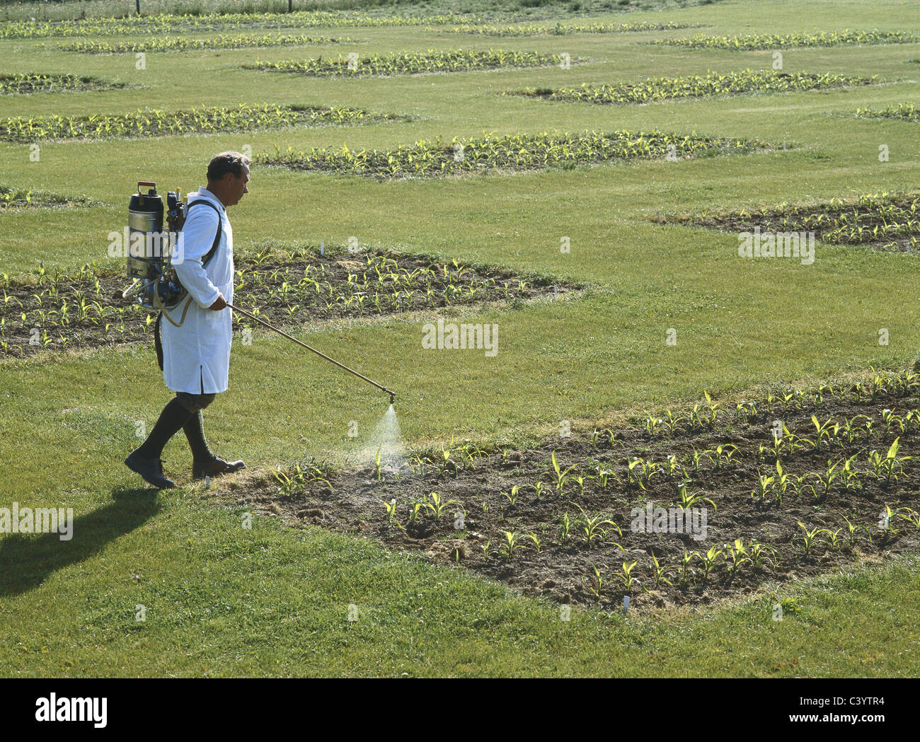 Agricultural, Agriculture, Biological, Biologist, Biology, Caucasian