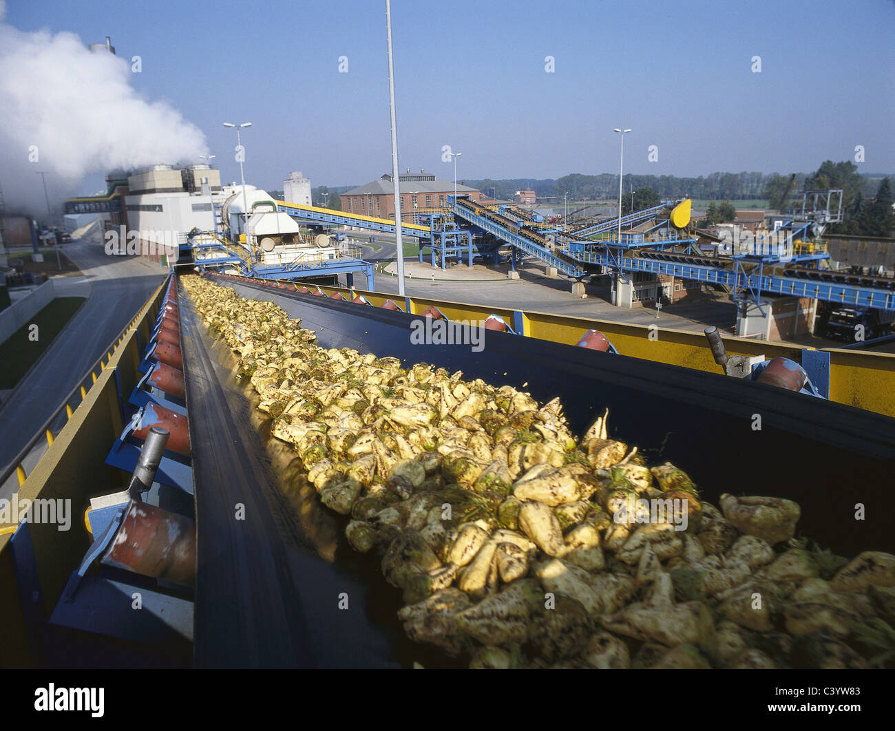 Agriculture, Belt, Conveyor, Conveyor Belt, Crop, Economy, Europe