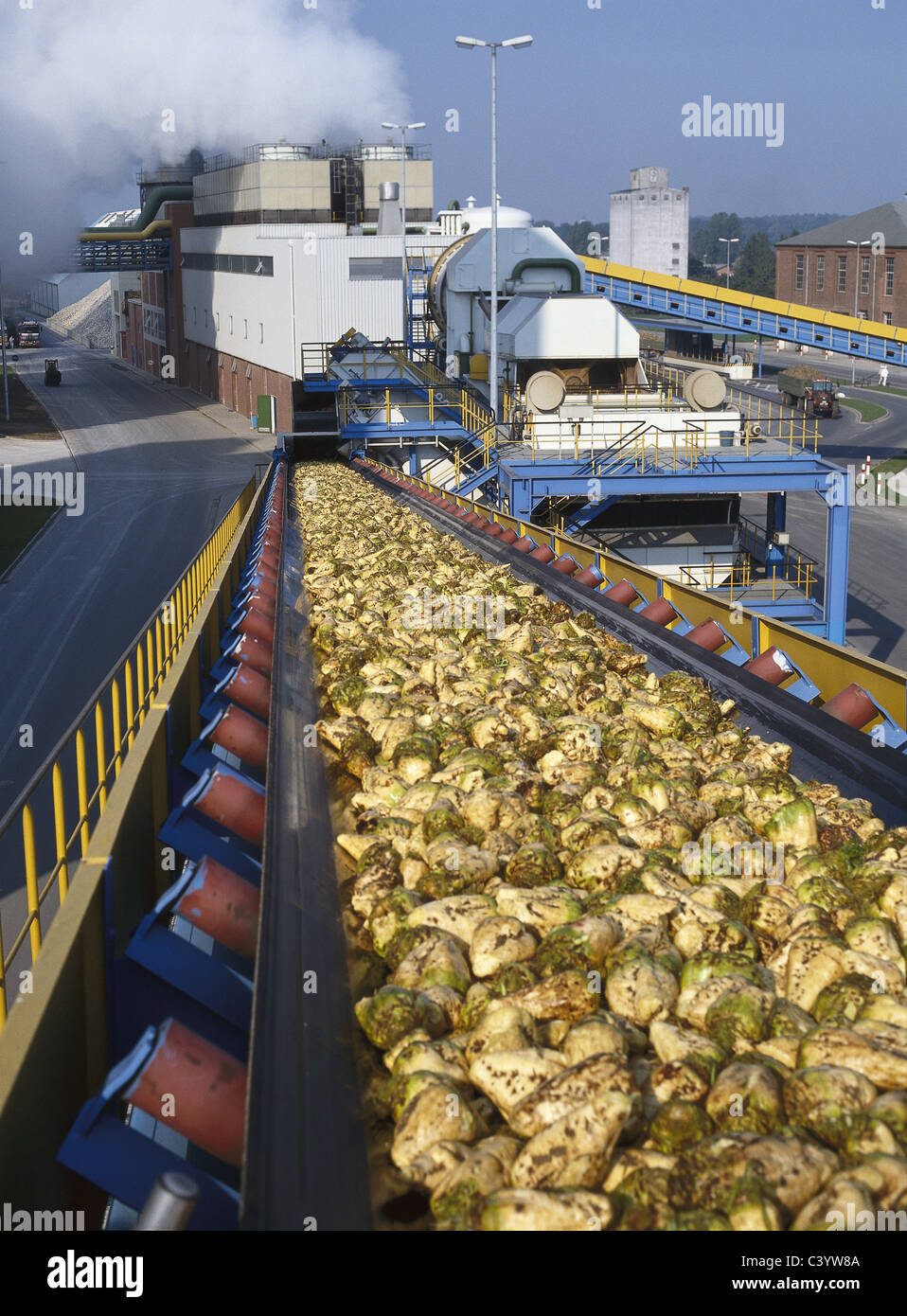 Agriculture, Belt, Conveyor, Conveyor Belt, Crop, Economy, Europe