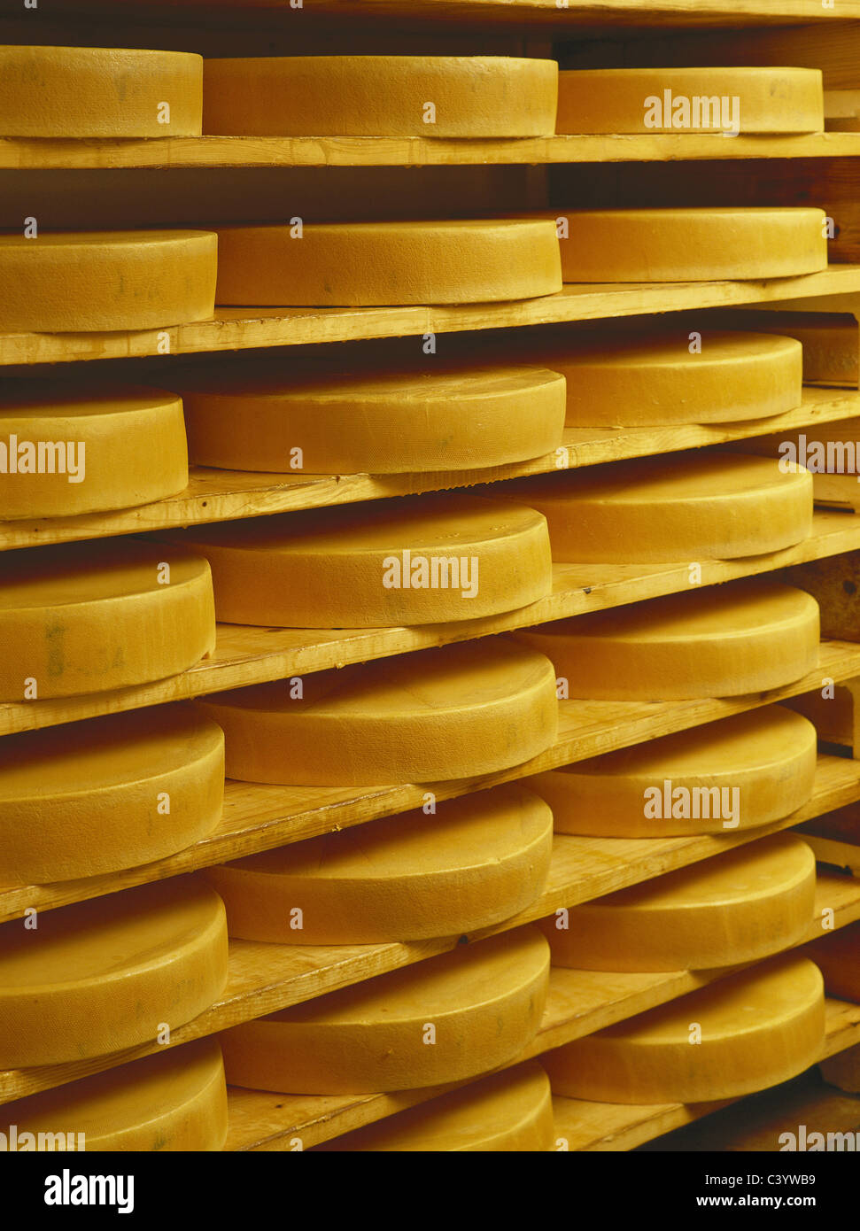 Bavaria, Cheese, Dairy, Economy, Europe, European, Facility, Factory