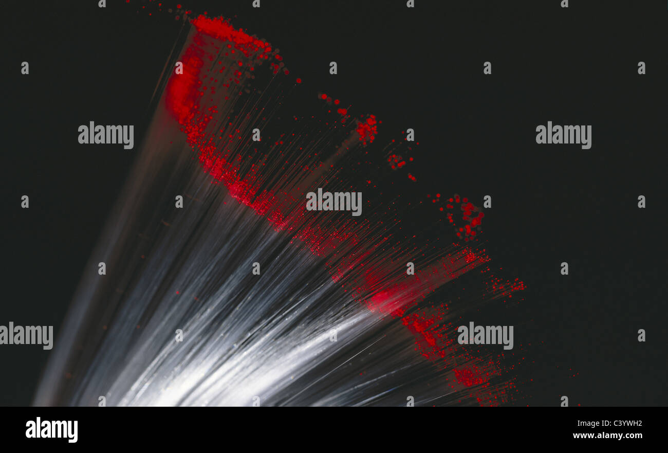 Cable, Cables, Communication, Communications, Data, Fiber, Fibers