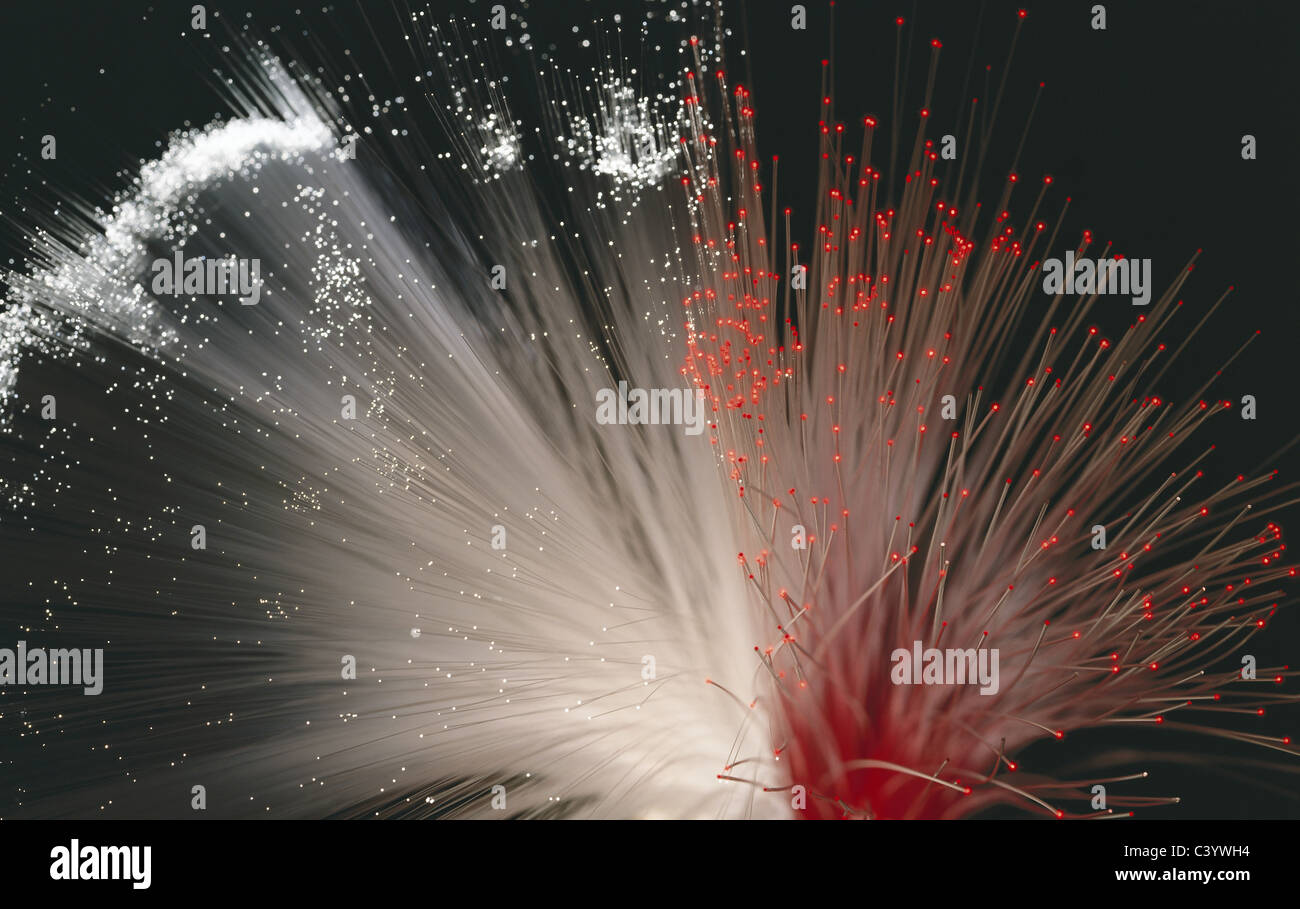 Cable, Cables, Communication, Communications, Data, Fiber, Fibers