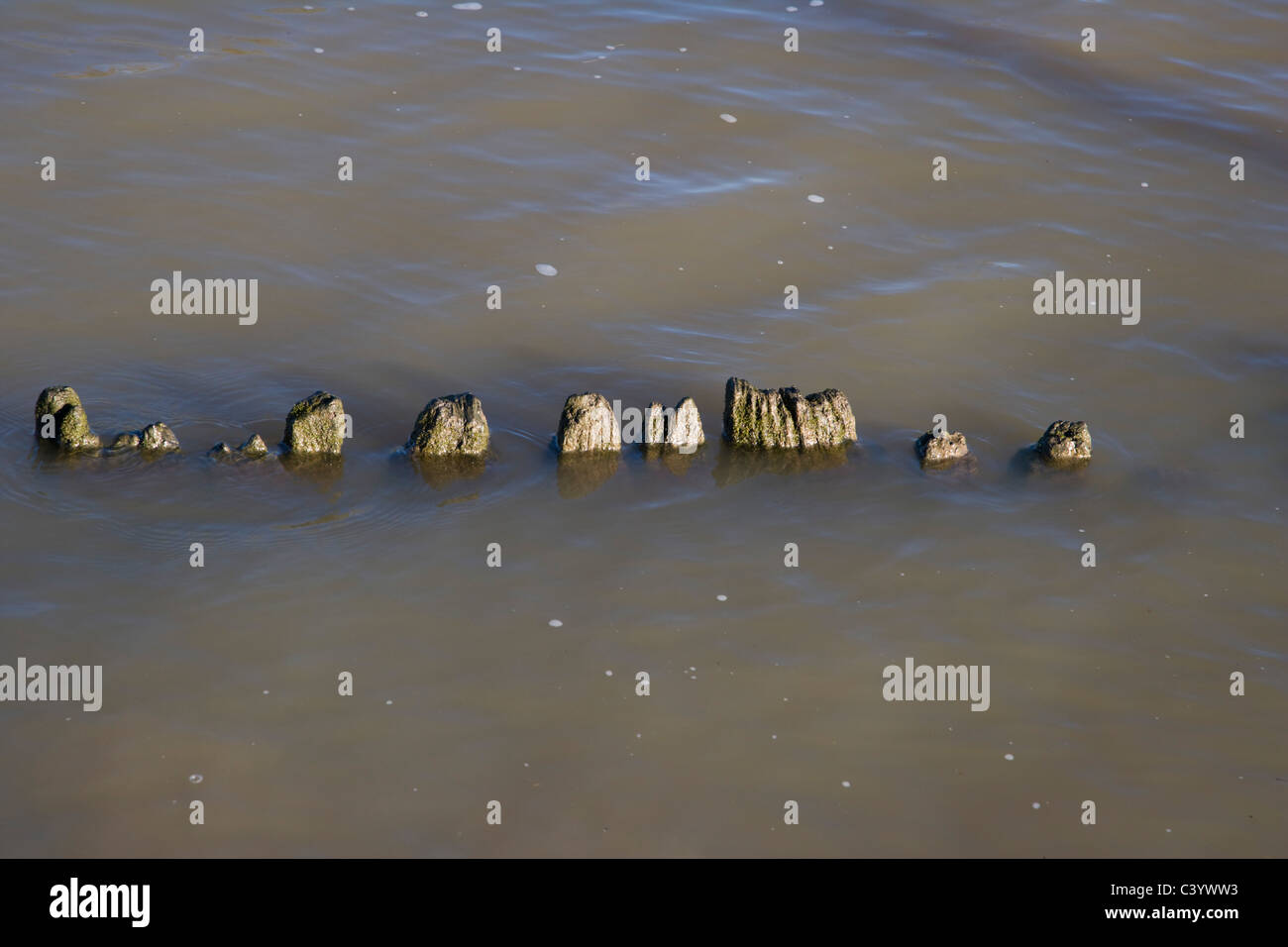 Wooden posts in water Stock Photo Alamy