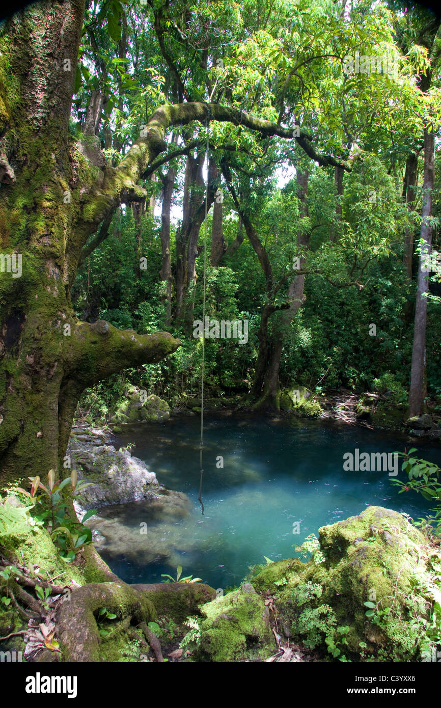 Stunning tropical grotto with rope swing near Hana, Maui, Hawaii Stock