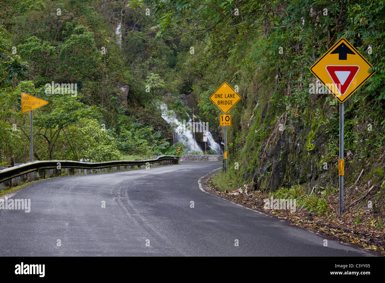 Narrow winding Highway 360 passes many waterfalls on the road to Hana