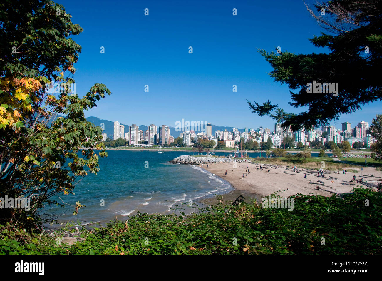 Kitsilano dog beach hires stock photography and images Alamy